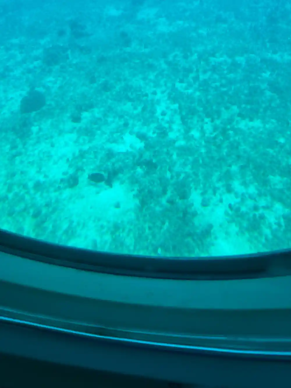 Coral rubble and sand below the hull