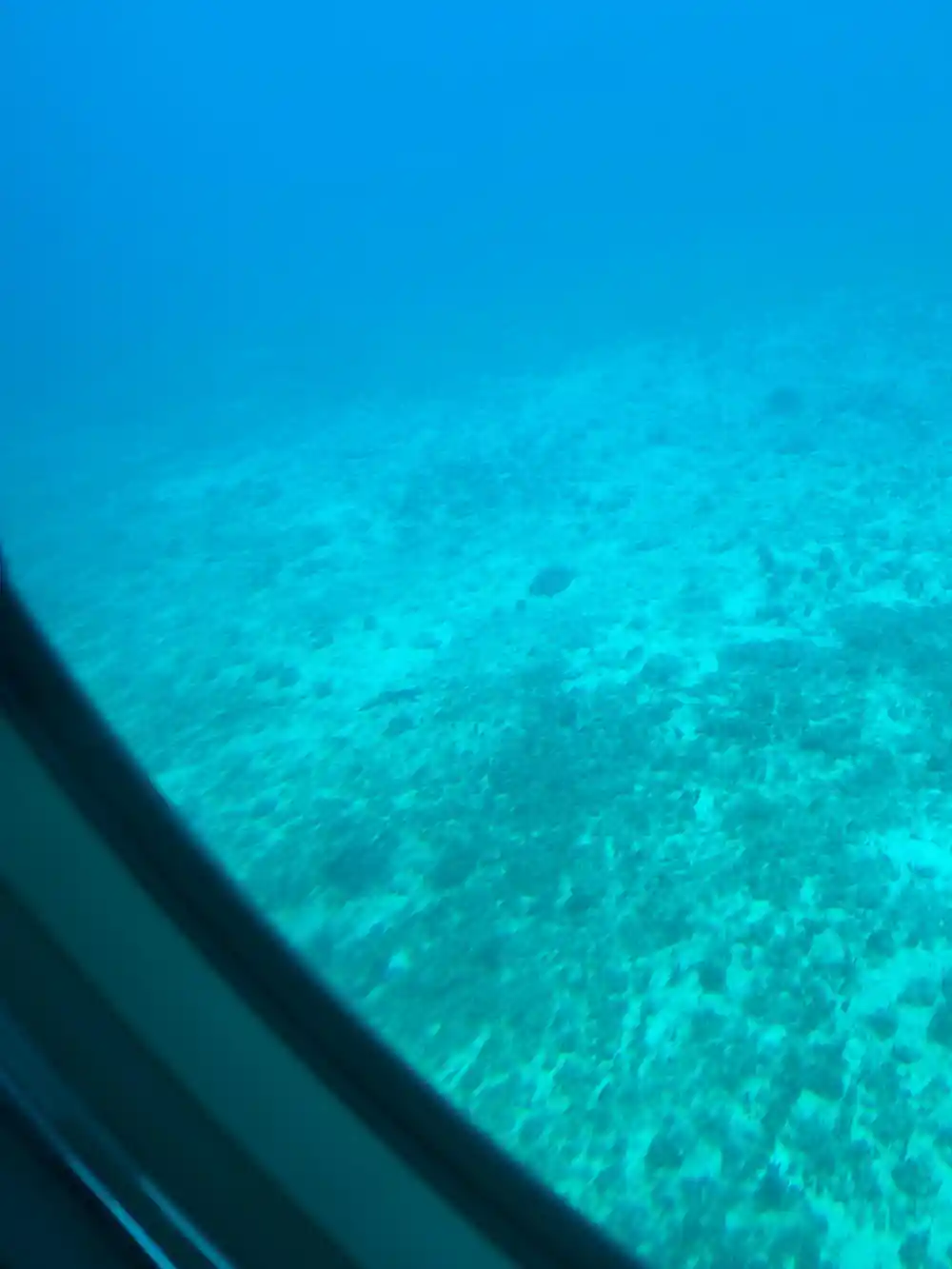 Coral and sand on the seabed seen from the submarine