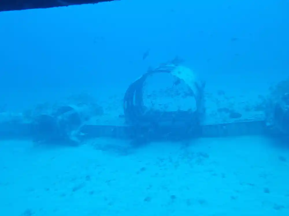 A curved metal structure on the seabed forming part of the artificial reef