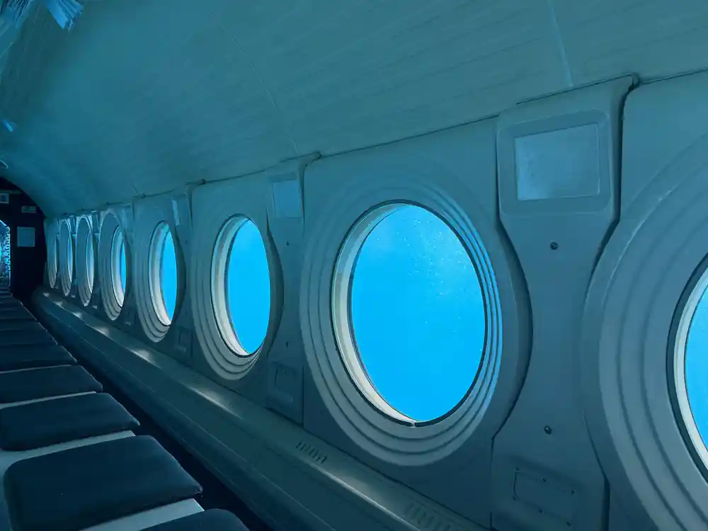 A row of viewports along the empty cabin wall