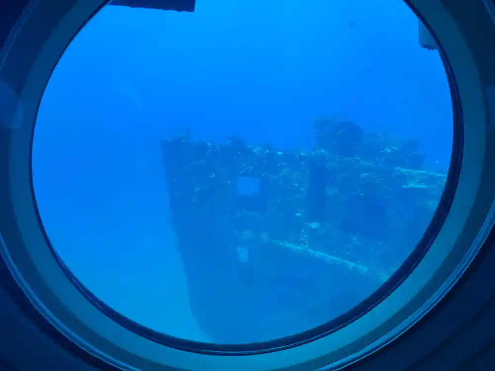 A sunken structure seen through a viewport with fish in the foreground
