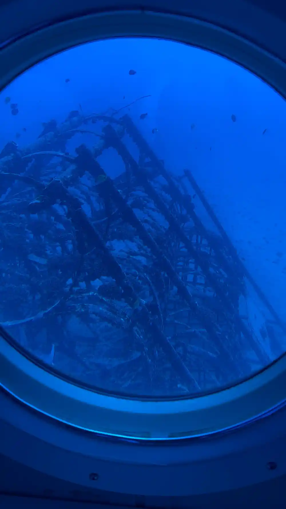 A tangle of steel reef framework close to the viewport