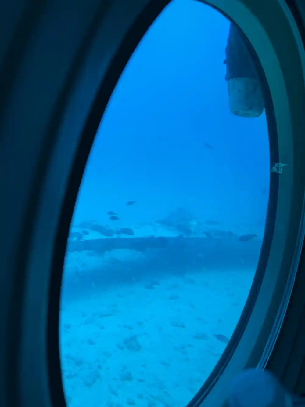 A wreck on the sand seen through a viewport with fish around it
