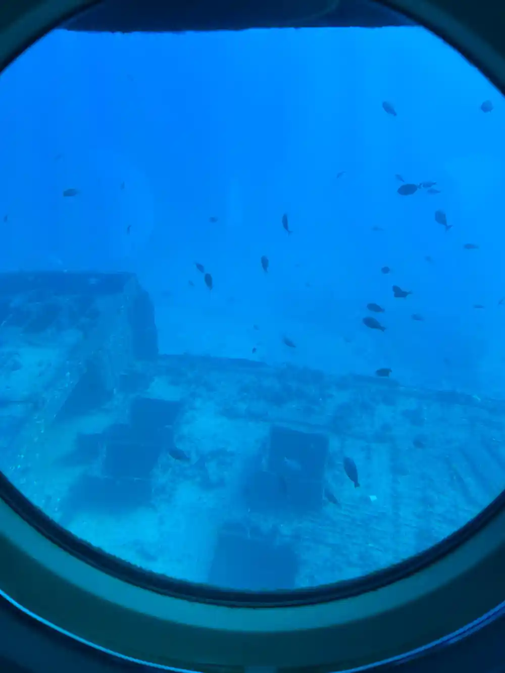 A wreck and small fish seen through the viewport glass